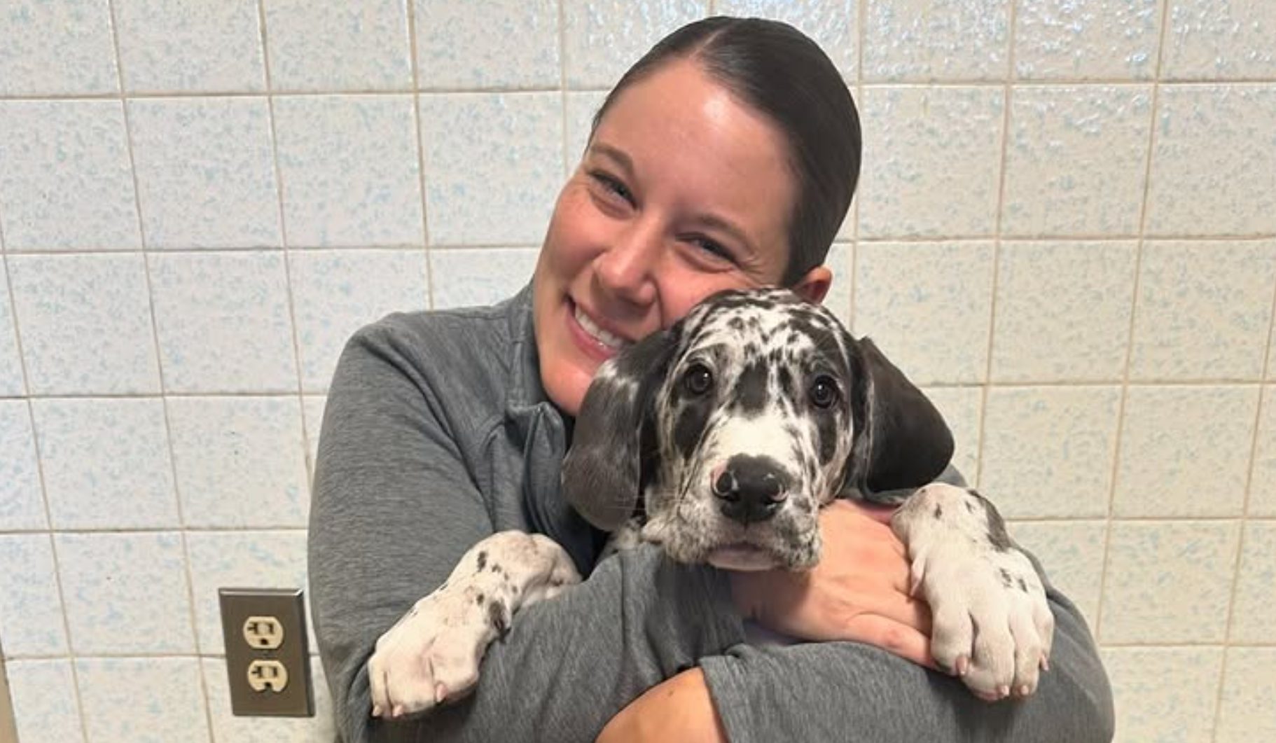 the-best-reno-pet-clinic